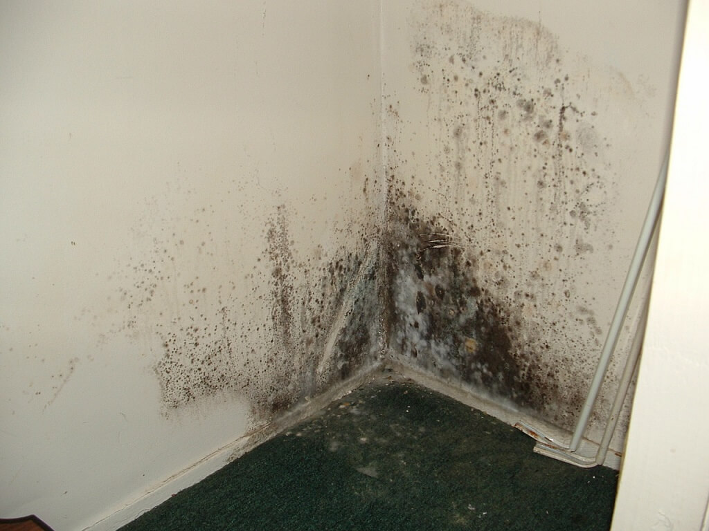 Problemas de la humedad en las habitaciones de los niños